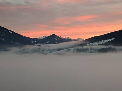 Bild 88 aus  Pfleger Ranch am Schönegg Gut