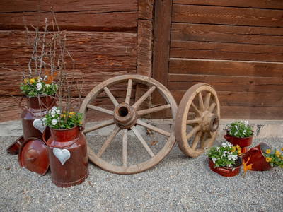 Bild 39 aus  Artlieb