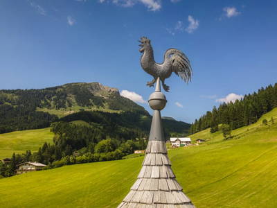 Bild 63 aus  Höllhof