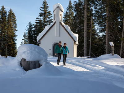 Bild 149 aus  Holzackerhof