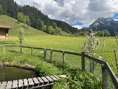 Bild 33 aus Pausshof