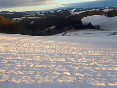 Bild 74 aus  Biohof Stadlbauer