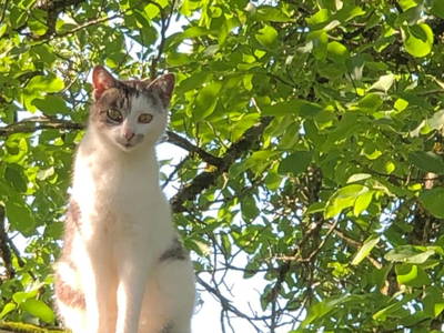 Bild 144 aus  Erbhof Hinting + Appartementhaus Hinting