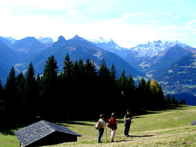 Bild 25 aus Bio und Bergbauernhof Saller