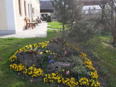 Bild 31 aus  Unteres Feld