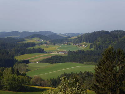 Bild 20 aus  Gebetsberger