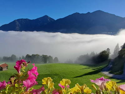 Bild 94 aus  Hartlgut