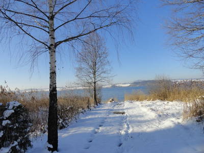 Bild 81 aus  Dichtlhof