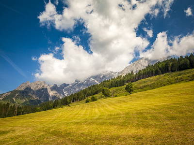 Bild 26 aus  Ferienbauernhof Elmaugut