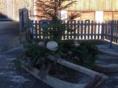 Bild 89 aus  BIO Heubauernhof Tonibauer