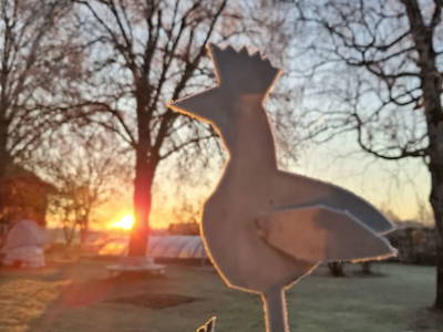 Bild 209 aus  Zehentnerhof