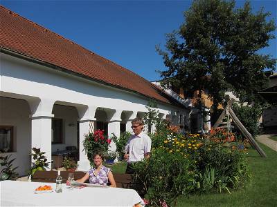 Bild 16 aus Weingut Himmelbett