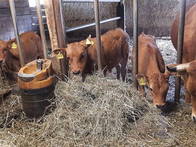 Bild 34 aus  Bichlerhof