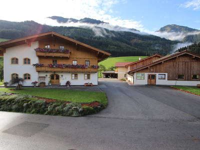 Bild 61 aus  Taxengut