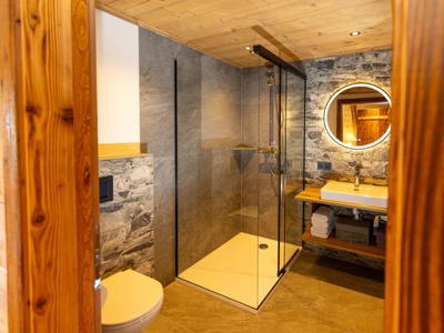 Bild 248 aus  Tritscherhof