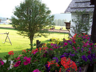 Bild 14 aus  Tschaperhof - Urlaub mit Pferd