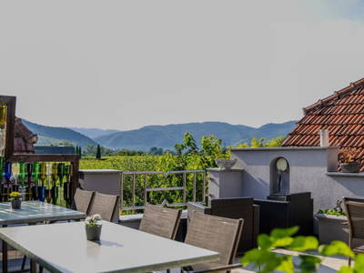 Bild 81 aus  Winzerhof Mörtinger