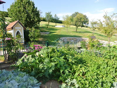 Bild 19 aus  Kornihof