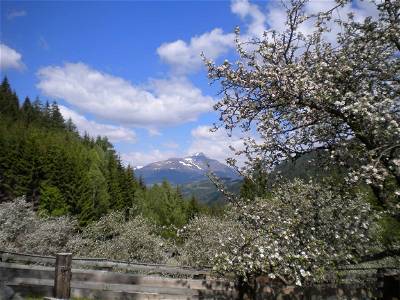 Bild 53 aus Umundum Hütte