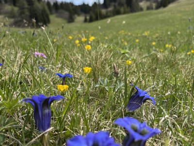 Bild 162 aus Riatschhof