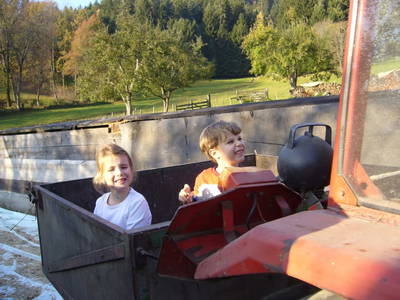 Bild 90 aus  Hoferhof