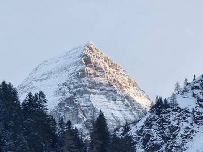 Bild 157 aus  Alfaierhof & Bergheimat