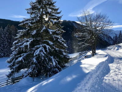 Bild 55 aus  Bleierhof