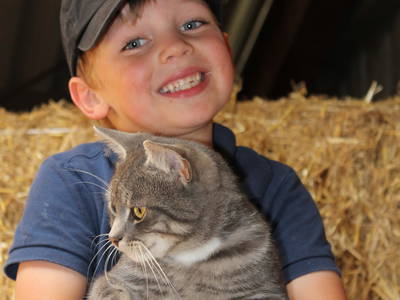 Bild 19 aus  Ferienhof Thomsen