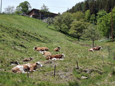 Bild 4 aus  Hütte am Bach
