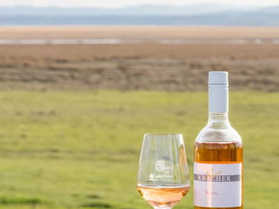 Bild 33 aus  Weingut - Ferienwohnungen KRACHER