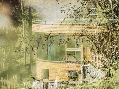 Bild 6 aus  Lichteben