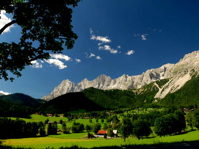 Bild 183 aus Brandhof