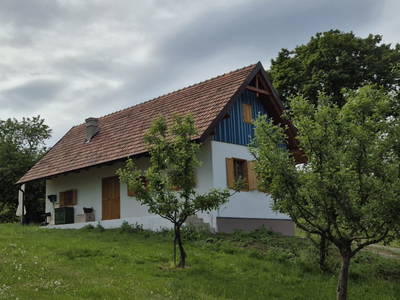 Bild 8 aus  Weinek's Kellerstöckl