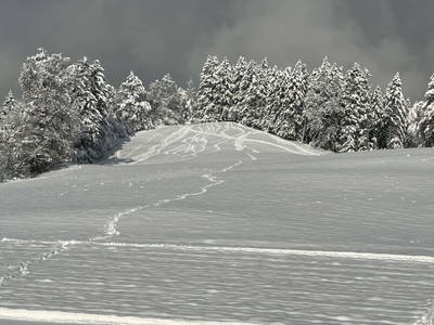 Bild 97 aus  Karlhof