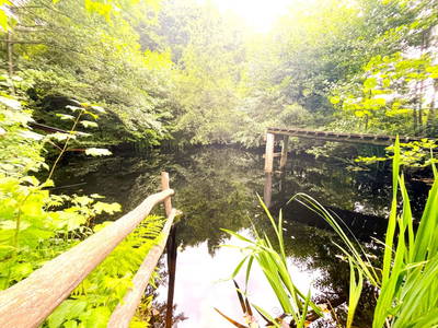 Bild 72 aus  1000 Krauthof - Ferienwohnung