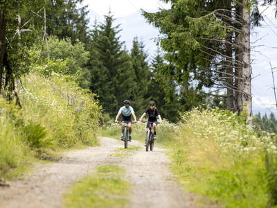 Bild 103 aus  Adelwöhrerhof