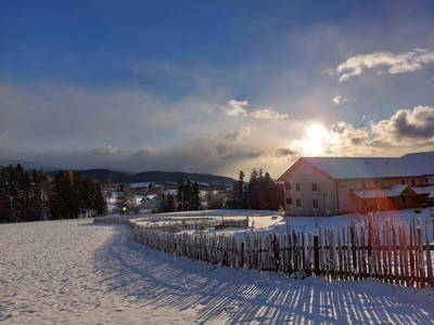 Bild 121 aus  Pircherhof - Adults Only am Biobauernhof