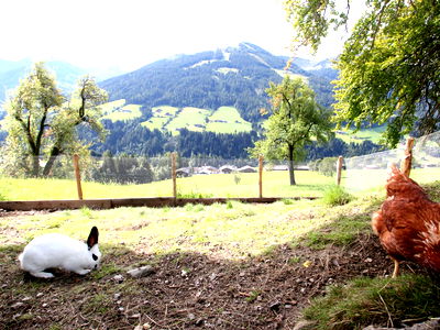 Bild 63 aus Alsten