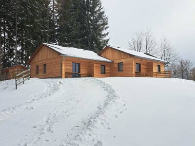 Bild 22 aus  Langhanshütte