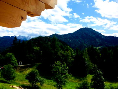 Bild 220 aus Arlitscherhof
