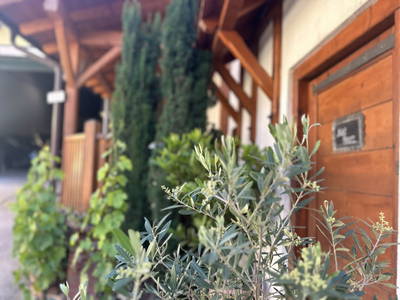 Bild 12 aus  Weingut-Gästehaus zum Schwalbennest