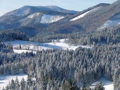 Bild 28 aus  Die Hinterbreiteneben - Natur, Alleinlage & Ski