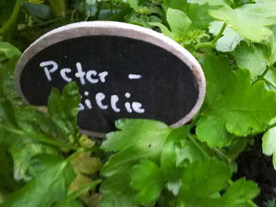 Bild 96 aus  Tobadillerhof Kinderbauernhof Pitztal Tirol