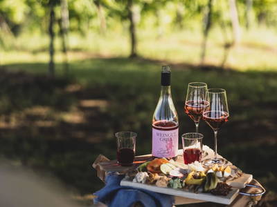 Bild 2 aus  Weingut Grill