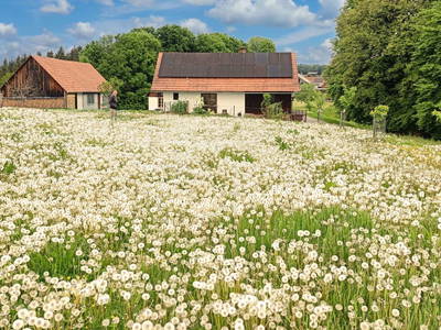 Bild 25 aus Ferienhaus Warga