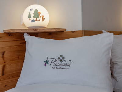 Bild 58 aus  Pleschinhof