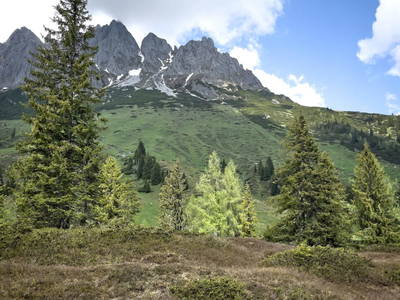 Bild 81 aus  Schloif Troadkastn