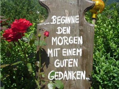 Bild 46 aus  Familienbauernhof mit Märchenkulisse - ZITTRAUERHOF