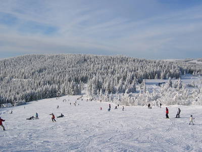 Bild 24 aus  Springhansenhof im Schwarzwald