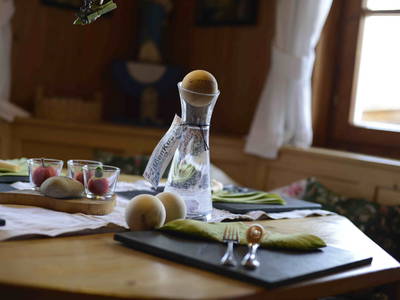 Bild 55 aus  Biobauernhof Gehrnerhof Warth am Arlberg